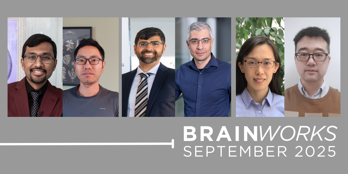 Brainworks banner  Sept 2025.png
